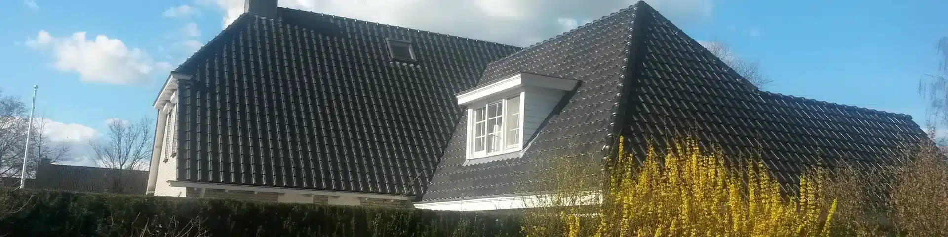 Dakkapel vervangen